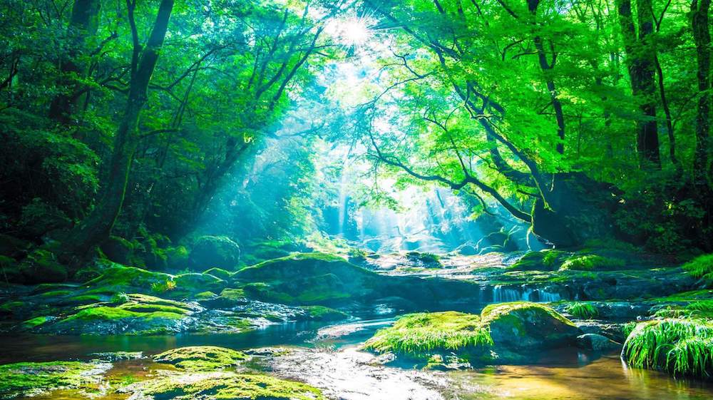 提供方法へのこだわり